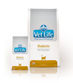 Diabetic-feline---Copy