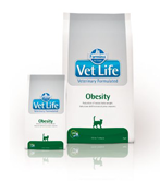 Obesity-feline---Copy